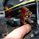 Image for article titled A Scary Halloween Tale Of All The Electrical Gremlins In My Jeep